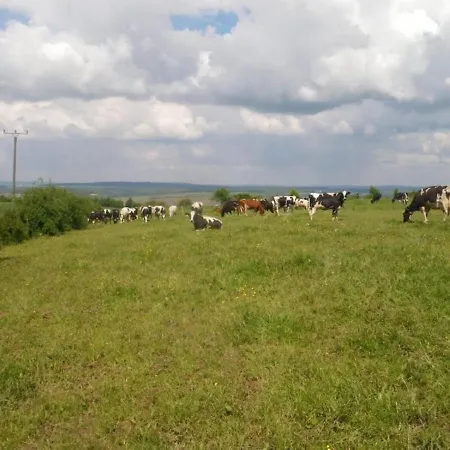 Lahr * Wincheringen